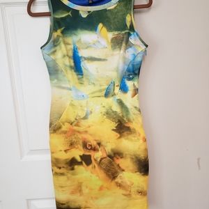 Ted Baker dress